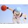 MegaHouse Kuroko's Basketball Figure Series - Tetsuya Kuroko 1/8 Complete Figure รูปภาพ 12