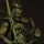 Kaiyodo Revoltech Takeya No.018EX Kongo Rikishi Agyo [Wooden Style Edition] รูปภาพ 9