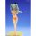 WAVE BEACH QUEENS - Girls und Panzer: Anchovy 1/10 Complete Figure image 8
