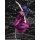 MegaHouse Excellent Model RAHDXG.A.NEO - Mobile Suit Gundam 00: Tieria Erde 1/8 Complete Figure รูปภาพ 5