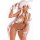 OrchidSeed Queen's Blade: Beautiful Fighters - Alleyne Event Exclusive Ver. 1/6 Complete Figure [Wonder Festival 2014 Summer Exclusive] imagen 5