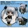 King Records Nendoroid - Miss Monochrome Poker Face Black ver. [Blu-ray & DVD Purchase Bonus Item] รูปภาพ 2