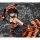 Alphamax [Bonus] Date A Live II - Kurumi Tokisaki 1/7 Complete Figure (w/Mini Wall Scroll) รูปภาพ 10