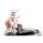 Orca Toys ToHeart2 XRATED - Sasara Kusugawa White Bunny Ver. 1/5 Complete Figure Bild 3