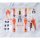 Bandai Armor Girls Project - Rafale Revive Custom II [Garden Curtain] x Charlotte Dunois [Tamashii WEB Exclusive] 图片 2