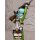Kaitendo Sword Art Online II - Sinon 1/7 Complete Figure gambar 10