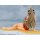 WAVE BEACH QUEENS 아마기 브릴리언트 파크 센토 이스즈 1/10 완성품 피규어 이미지 6