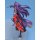 Genco Sword Art Online II - "Zekken" Yuuki 11 Rengeki OSS "Mothers Rosario" Ver. 1/7 Complete Figure 图片 11