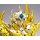Bandai Saint Cloth Myth EX - Leo Aiolia (God Cloth) "Saint Seiya: Soul of Gold" 图片 11