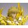Bandai Saint Cloth Myth EX - Leo Aiolia (God Cloth) "Saint Seiya: Soul of Gold" 图片 7