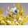 Bandai Saint Cloth Myth EX - Leo Aiolia (God Cloth) "Saint Seiya: Soul of Gold" 图片 8