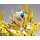 Bandai Saint Cloth Myth EX - Leo Aiolia (God Cloth) "Saint Seiya: Soul of Gold" 图片 9