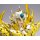 Bandai Saint Cloth Myth EX - Leo Aiolia (God Cloth) "Saint Seiya: Soul of Gold" 图片 10