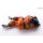 Bandai Dragon Ball Z - HG Yamcha Complete Figure [Premium Bandai Exclusive] รูปภาพ 3