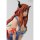 HobbyJAPAN/AMAKUNI MAOYU - Demon King Overall Ver. Limited Edition w/Utatane Demon King Cushion Cover 1/7 Complete Figure [Monthly HobbyJAPAN 2015 April & May Issue Mail Order, Particular Shop Exclusive] รูปภาพ 7