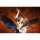 Alter Odin Sphere - Gwendolyn 1/8 Complete Figure Bild 5
