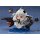 Good Smile Company [Bonus] Nendoroid - Kantai Collection -Kan Colle- Hoppou Seiki [Goodsmile Online Shop Exclusive] image 5