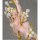 Daiki Kougyou Flower Fairy Maria Bernhardt Complete Figure รูปภาพ 14