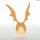 Bandai Digimon Adventure tri. - HG Partner Digimon Collection Complete Figure [Gashadepa Exclusive] hình ảnh 16
