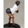 Q-six THE SEX SWEEPERS - Akino Shinjo 1/6 Complete Figure รูปภาพ 8