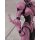 Max Factory figma - Guyver The Bioboosted Armor: Guyver II F image 15