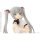 Azone 1/12 Luluna / Black Raven -The gale of the scythe. The Beginning of the End- Misty Silver Complete Doll image 12