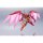 BANDAI SPIRITS METAL ROBOT Spirits -SIDE KMF- Guren SEITEN Eight Elements "Code Geass: Lelouch of the Rebellion R2" 图片 9