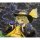 ques Q Touhou Project "The Closed Eye of Love" Koishi Komeiji 1/8 Complete Figure Bild 12