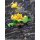 ques Q Touhou Project "The Closed Eye of Love" Koishi Komeiji 1/8 Complete Figure Bild 14