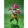 BANDAI SPIRITS S.H. Figuarts 가면라이더 엑스에이드 액션 게이머 레벨 2 -20 가면라이더 킥스 Ver.- 이미지 6