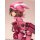Plum Gun Gale Online Llenn - Desert Bullet Ver. - 1/7 Complete Figure Bild 11
