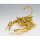 BANDAI SPIRITS Saint Cloth Myth EX Scorpion Milo SAINTIA SHO COLOR EDITION " Saint Seiya: Saintia Shou " Bild 9