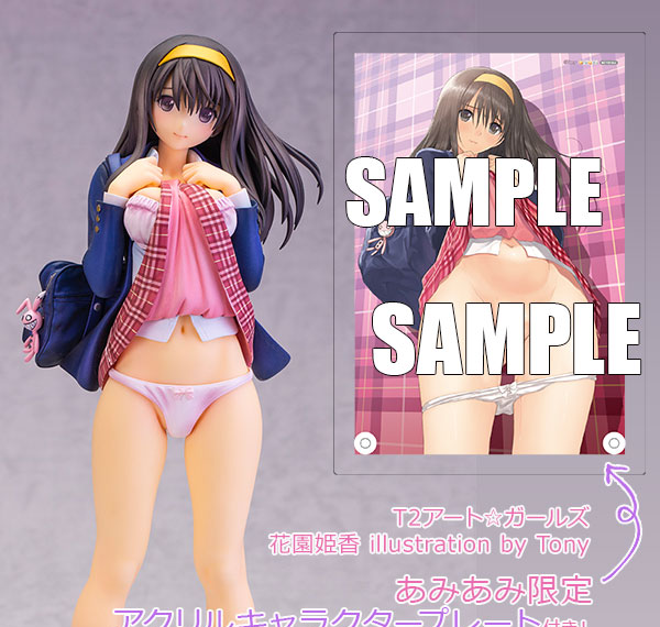SkyTube [Bonus] T2 Art Girls Kikyou Hanazono illustration by Tony 1/6 Complete Figure Bild 1