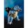 BANDAI SPIRITS S.H.Figuarts Blastoise -Arts Remix- "Pokemon" gambar 4