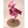 Plum Gun Gale Online Llenn -Desert Bullet Ver.- 1/7 Complete Figure 이미지 13