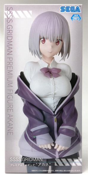 SEGA SSSS.GRIDMAN Premium Figure "Akane" (Game-prize)
