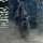 PLEX Toho 30cm Series - Yuji Sakai Zoukei Collection Godzilla (1984) Final Battle in the Subcenter of Shinjuku Complete Model (Partial Assembly Type) Bild 10