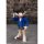 BANDAI SPIRITS S.H.Figuarts Conan Edogawa -Tracking Part- "Detective Conan" image 5