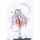 Q-six [Bonus] Youkoso! Sukebe Elf no Mori e Evelyn Celebrian White ver. 1/6 Complete Figure Bild 10