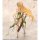 Vertex Elf Village Archeyle Antenna Shop Exclusive Reproduction Edition 1/6 Complete Figure imagen 14