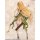 Vertex Elf Village Archeyle Antenna Shop Exclusive Reproduction Edition 1/6 Complete Figure imagen 5