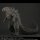 PLEX Toho Daikaiju Series Godzilla (2019) Complete Figure image 2