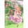 Hakoiri Musume [Bonus] Is the order a rabbit? BLOOM Cocoa in Full Bloom Summer Dress Ver. 1/7 Complete Figure Bild 13