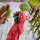 Union Creative Momoko Illustration "En-chan [Kimono]" Complete Figure image 12