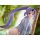 ques Q That Time I Got Reincarnated as a Slime Shion Changing Mode 1/7 Complete Figure image 16