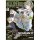 Tomytec LittleArmory [LS06] SCAR-Mk17 Type Fumina Renboshi Mission Pack gambar 5