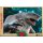 Hot Toys Power Pose "The Suicide Squad" 1/6 King Shark gambar 12