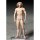 FREEing figma The Table Museum Vitruvian Man Bild 3