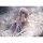 ALUMINA THE IDOLM@STER Cinderella Girls Ranko Kanzaki: White Princess of the Banquet ver. 1/7 Complete Figure รูปภาพ 5