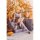 UnknownModel 산쇼쿠렌 TE 치카 (치궈) 1/7 완성품 피규어 이미지 3